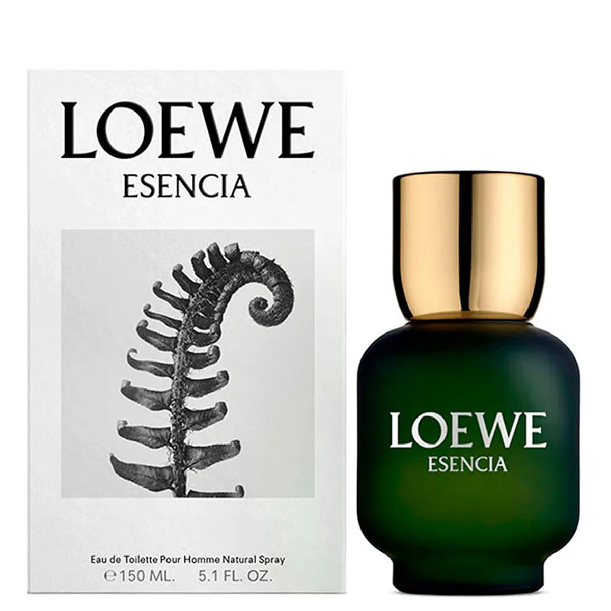 Loewe Esencia Eau de Toilette Perfume for Men 100ml